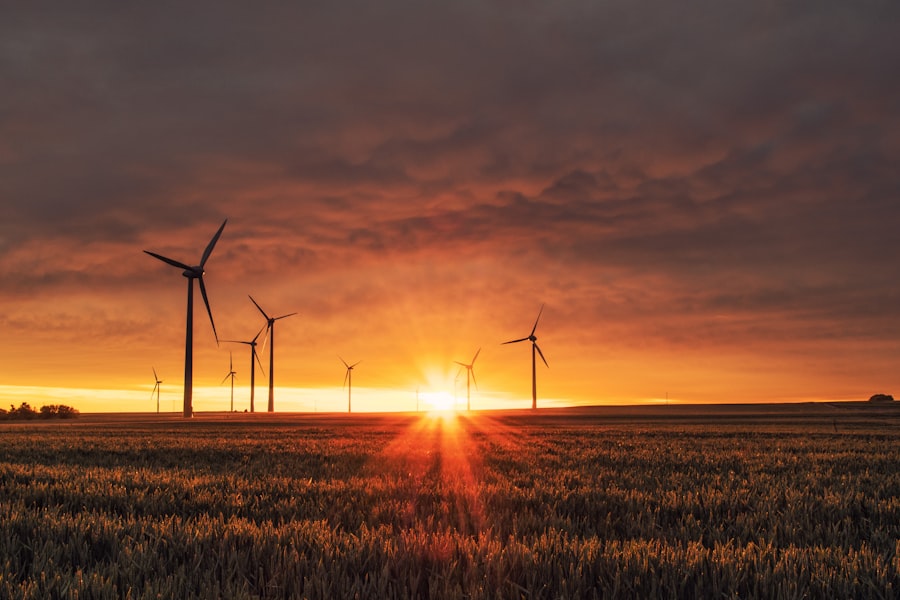 Wind turbine asset management